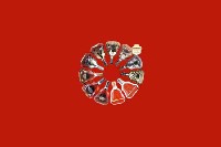 临夏州和政回收红酒